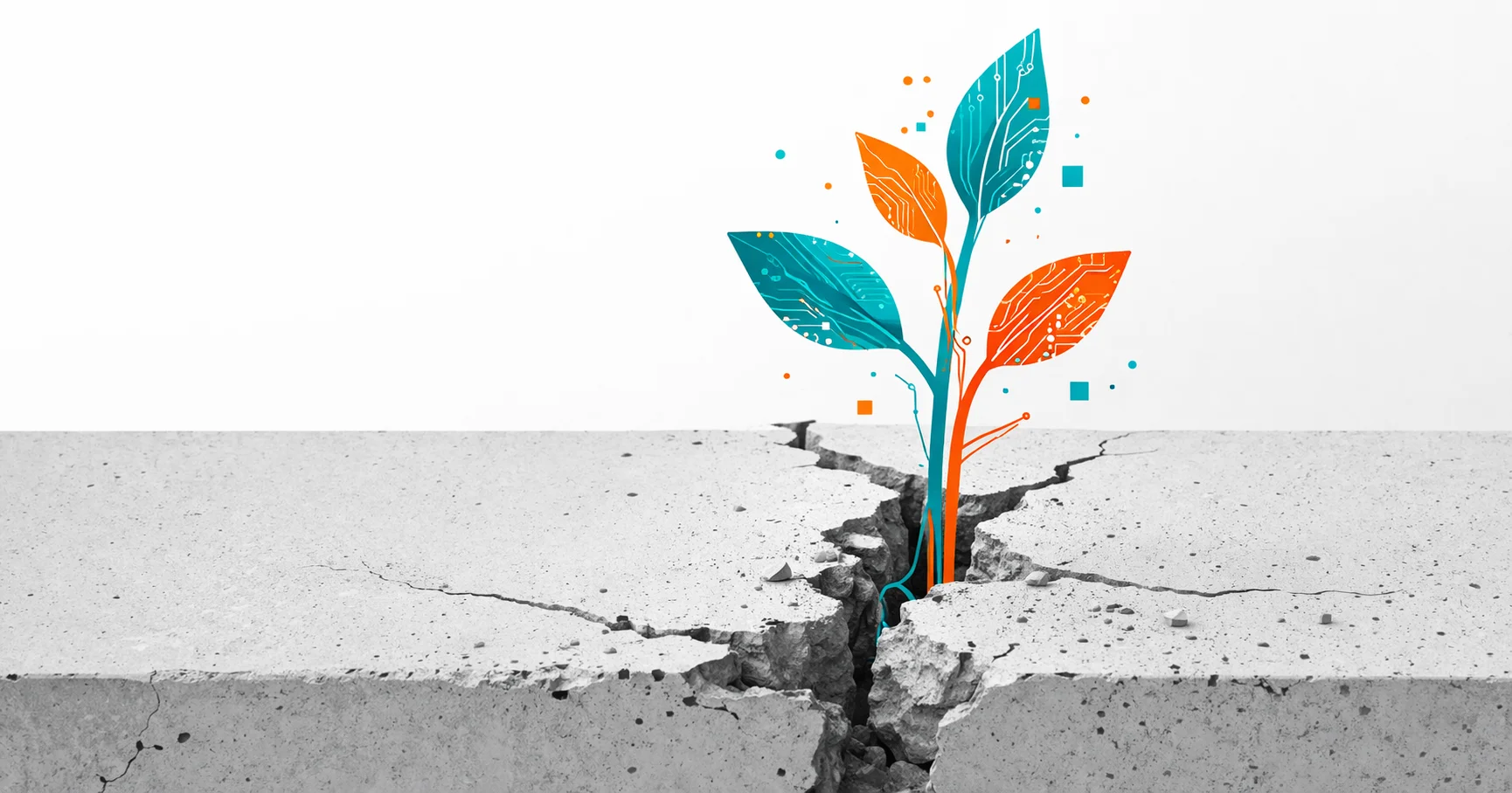 Software a medida para pymes - El fin de la excusa del presupuesto